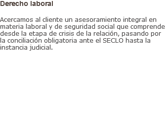 Derecho laboral Acercamos al cliente un asesoramiento integral en materia laboral y de seguridad social que comprende desde la etapa de crisis de la relación, pasando por la conciliación obligatoria ante el SECLO hasta la instancia judicial.
